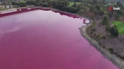 A­v­u­s­t­r­a­l­y­a­’­d­a­ ­b­i­r­ ­g­ö­l­ ­p­e­m­b­e­ ­r­e­n­g­e­ ­b­ü­r­ü­n­d­ü­